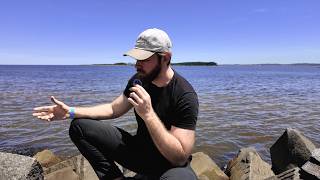 Você obrigatóriamente PRECISA TER INIMIGOS