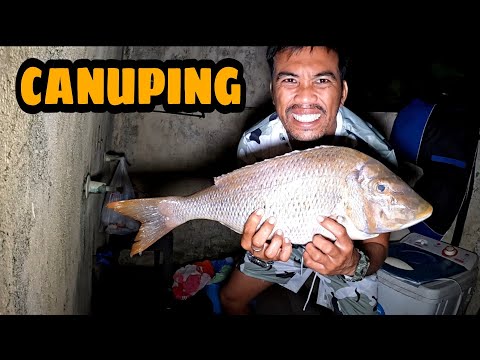 JAPAYUKI  @JaperSniperOfficial