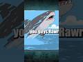 JAWS Sequel Way Bigger Jaws Familyguy Shorts