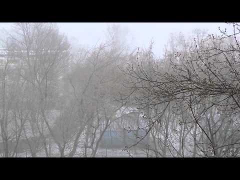 Москва. Выхино. Метель 22.03.2015
