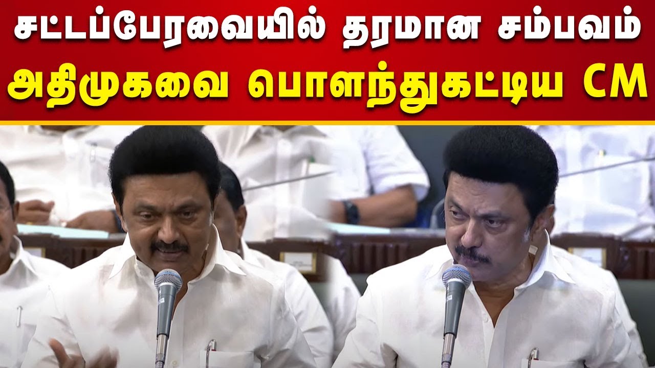 CM Stalin Fiery Speech | தரமான பதில்... அதிமுக கும்பலை அலறவிட்ட முதலமைச்சர் | TN Assembly | DMK