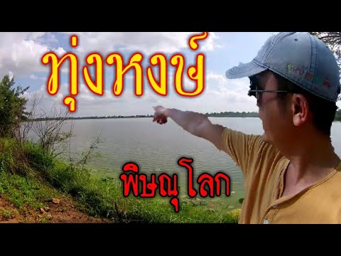 บึงทุ่งหงษ์