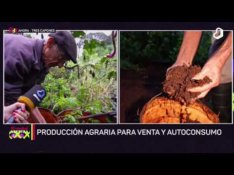 #TuCiudadNuestraCasa: huerta orgánica en constante expansión en Tres Capones