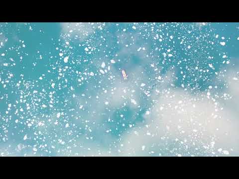 Seno Ballena - Glacier and Marypaz II From Above