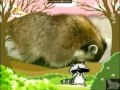 BabyTV Bim And Bam Raccoon English