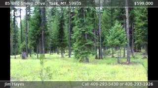 preview picture of video '85 Wild Sheep Drive YAAK MT 59935'