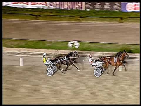 Trotto 18/06/2020 - prova pubblica