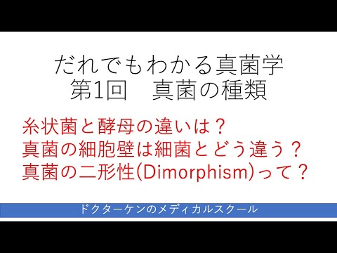 真菌について詳しく解説