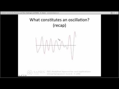 Common Connectivity Measures and Their Challenges and Pitfalls | Dr. Andre Bastos