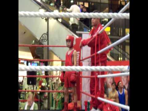 Basti Box Salonta 2013