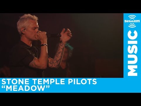 Stone Temple Pilots' FIRST performance of Meadow with new lead singer