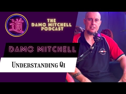 DMP #13 - Understanding Qi