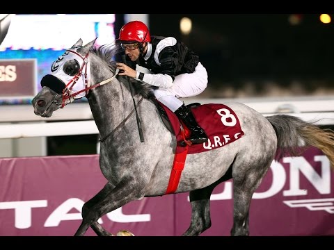 42nd Race Meeting of Season 2015 / 2016