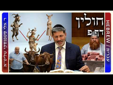 מרכז דף יומי - חולין דף פ. - ר' אלי סטפנסקי שליט"א