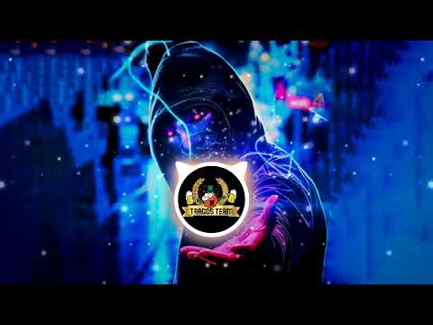 TragosTeam - Liu, Hawk, Erjona Sylejmani - Hanging Tree