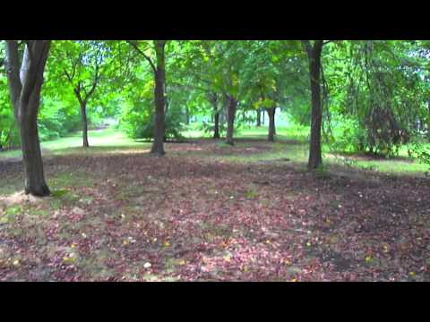 Sarah Blacker // Shiver - Music Video Monday Episode #2