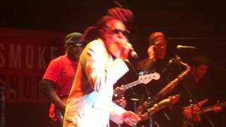 Don Carlos: Zion Train - Tribute to The Reggae Legends - San Diego, CA - 02/17/2014