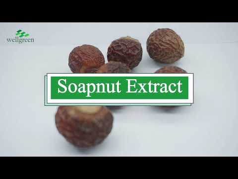 Reetha Extract Powder