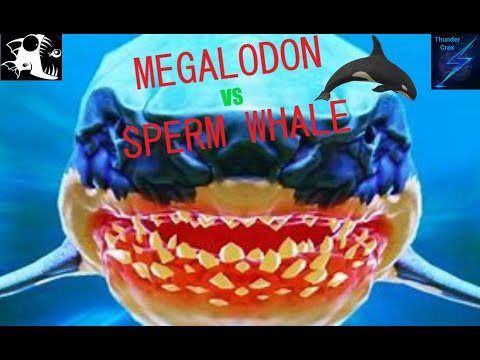 MEGALODON VS SPERM WHALE - Feed and Grow Fish - Ep 28 | Thunder Crax