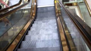 preview picture of video 'Chestnut Hill: Montgomery Escalators @ Atrium Mall'