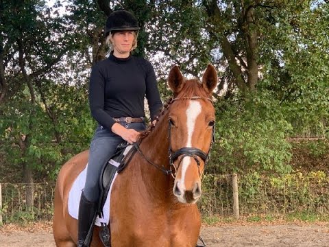 BE HAPPY 4j. v. Balou Peggio - Carismo VB 15.000,- Euro