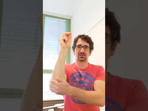 Hutlied Bewegungen Deutsch