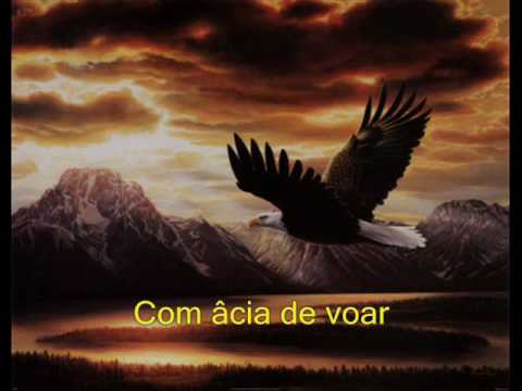 Águia Pequena video
