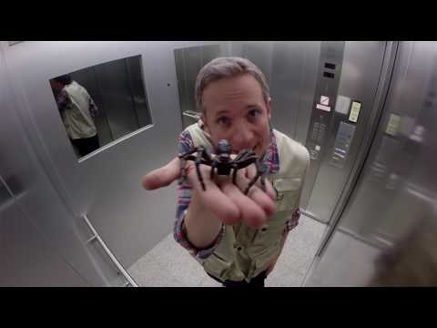 Elevator Spider Prank   S1 E02   iPad Magic with Simon Pierr