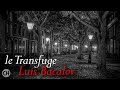 Late Night Mood ● Le Transfuge (Version 2) ● Luis Bacalov (HQ Audio)