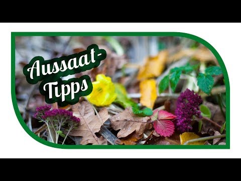 Aussaat & Gartentipps im November 🐔 Der Vorratskeller wird voller ❄️Selbstversorgung im Winter