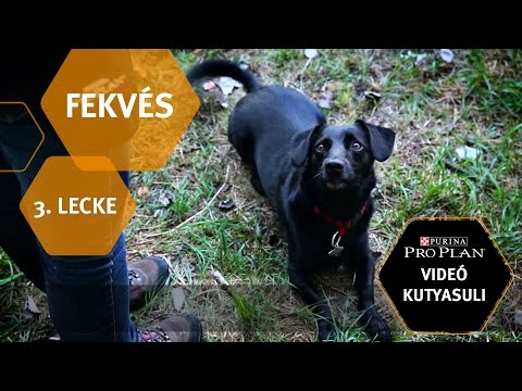 égő kenőcsök ízületi fájdalmak kezelésére