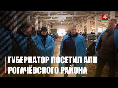 Не все так хорошо в «Красной армии». Сельхозобъекты Рогачевщины проинспектировал Крупко совместно с мониторинговой группой