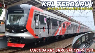 [問卦] 印尼對日本忘恩負義？買中國列車