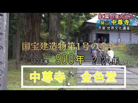 Visitando o Templo Chusonji (Patrimônio Mundial de Hiraizumi) nas folhas de outono (ponto poderoso! Recintos inteiros de Chusonji)