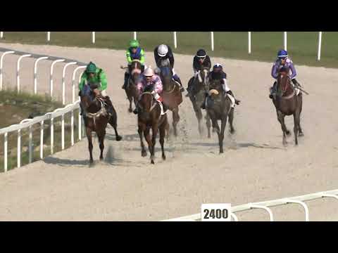 2020.09.13. 06. futam - MASKARPONE HENDIKEP (IV.o.) (szintetikus pálya)