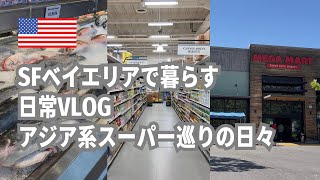 【vlog】アメリカ生活ソーセージ＆ウインナー難民卒業｜冷麺おいしい｜ベイエリアのアジア系スーパー巡ってみる日