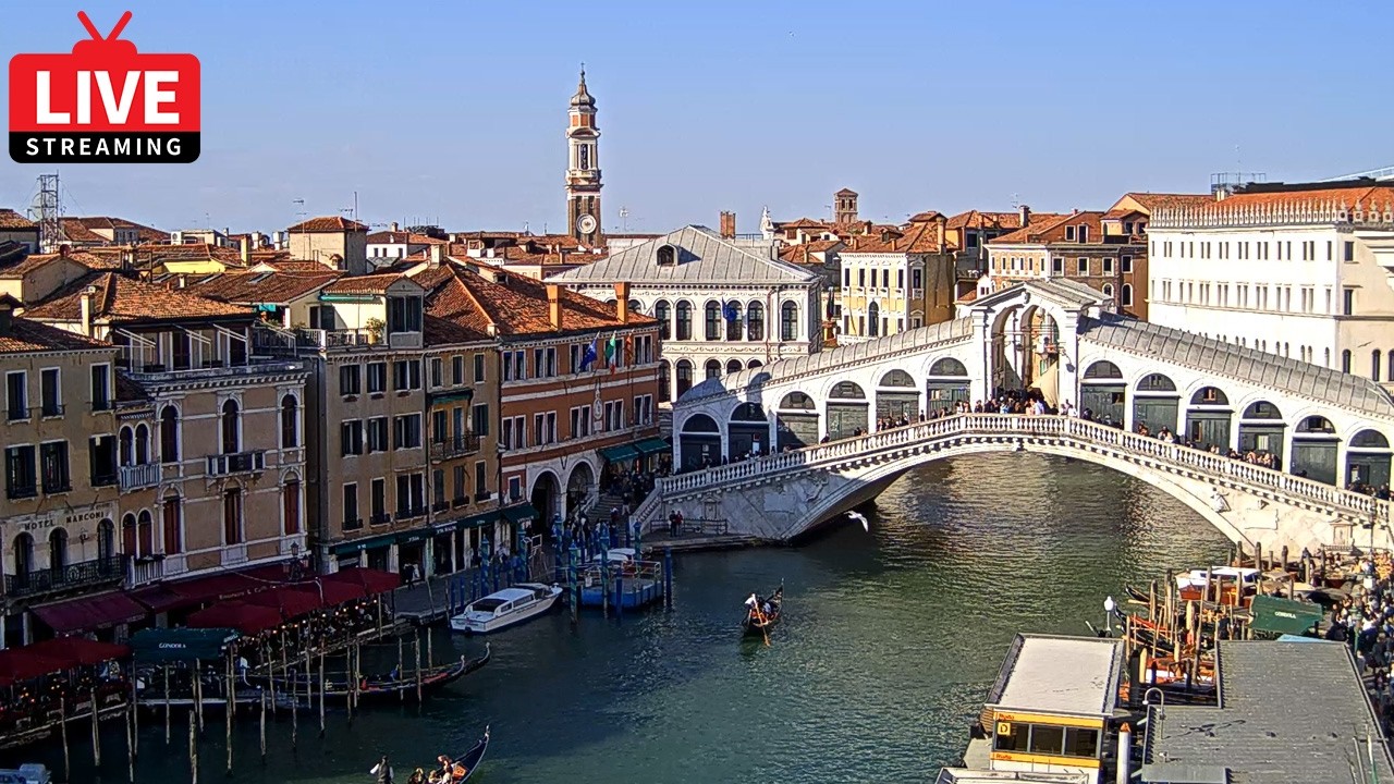 Live webcam view of Rialto Bridge Live View