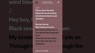 Hey boy in the pines