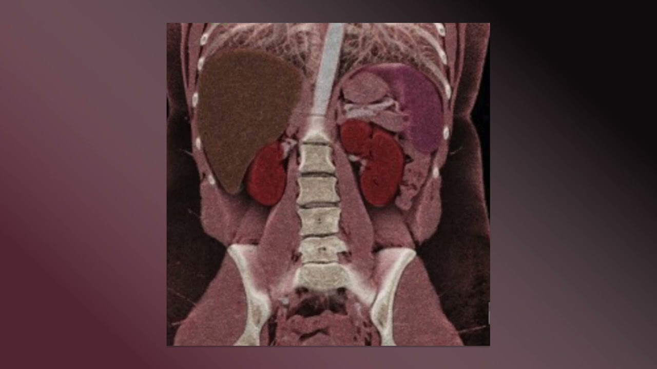 Sorry Mom Releases Punkrock Single + Album