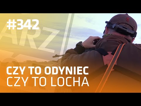 Darz Bór odc 342 - Czy to odyniec czy to locha