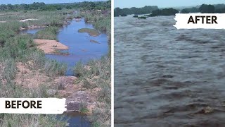 Download lagu Kruger National Park Floods 2026 - Sabie River Before & After mp3