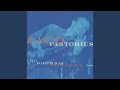 Three Views of a Secret (Live at Mr. Pip's, feat. Lauderdale, FL, 12/1/81) (Birthday Concert...