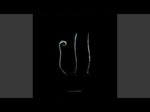 Thumbnail for video: Calling Thumbnail for video: Calling