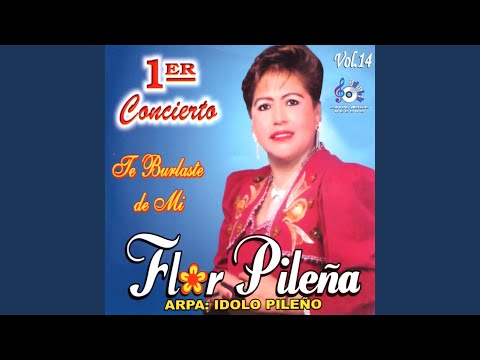 Quien Me Va Creer Amigo Ya No Tomes Mas Cervecita - Flor Pilena