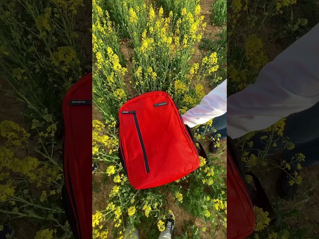 Vídeo relacionado con Targus Mochila CityGear para portátiles de 12-14", mochila resistente con compartimento para la tablet, mochila acolchada con correa para maleta - Negro, TCG655GL