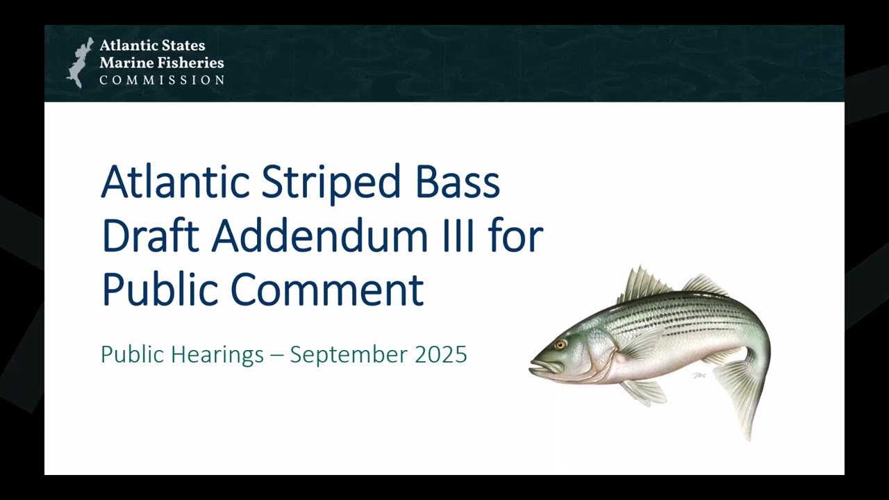 Atlantic Striped Bass Draft Addendum III Hearing Presentation Sept2025