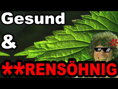 Brennnesseln sind trotzdem **rensöhne