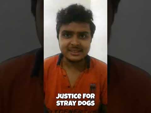 Supreme Court’s Order on Stray Dogs 🐕⚖️ What You Need to Know! #SCUpdate