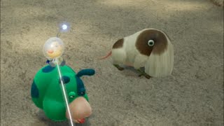 #163 【ピクミン4】ダンドリバトル