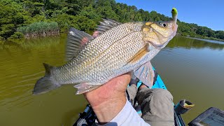 UNCUT (mostly) | 3 Days Of Coastal Ultralight For Jumbo Panfish & More